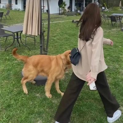 穿心虫